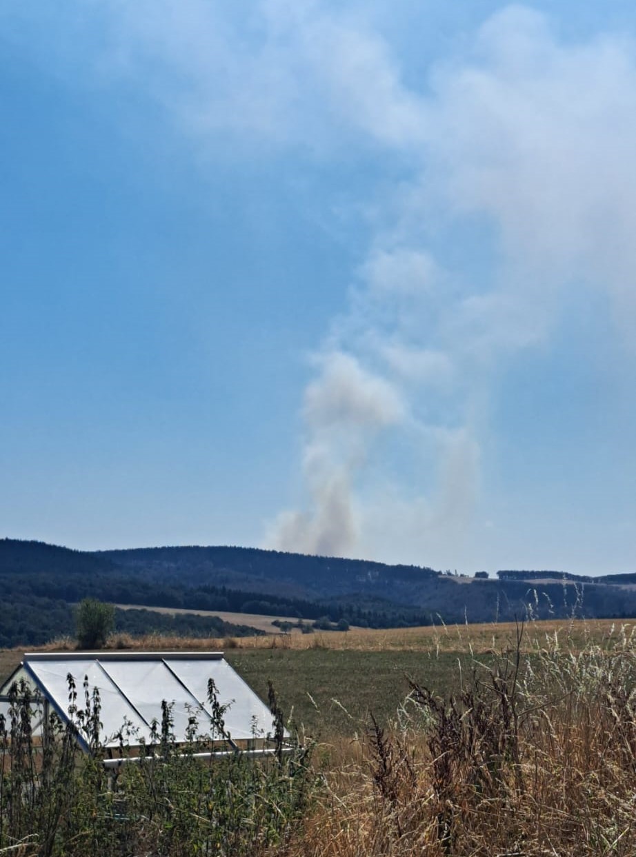 
Waldbrand bei Langenfeld
	
